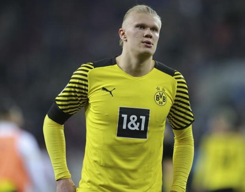 清凉避暑 清凉避暑